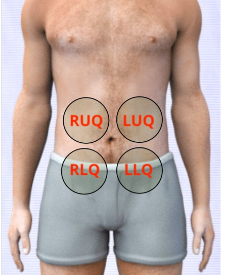 ihuman auscultate abdomen sounds
